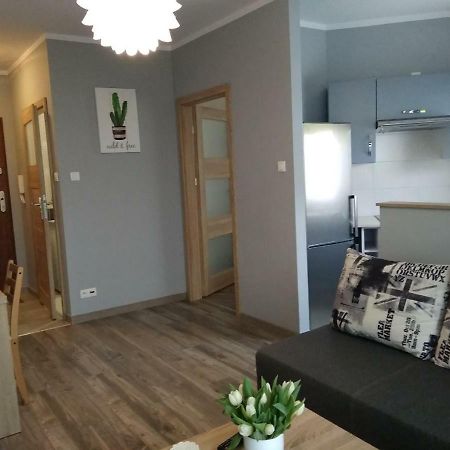 Apartament Edelmana Appartement Gorzów Wielkopolski Buitenkant foto